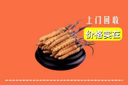 晋州市回收冬虫夏草